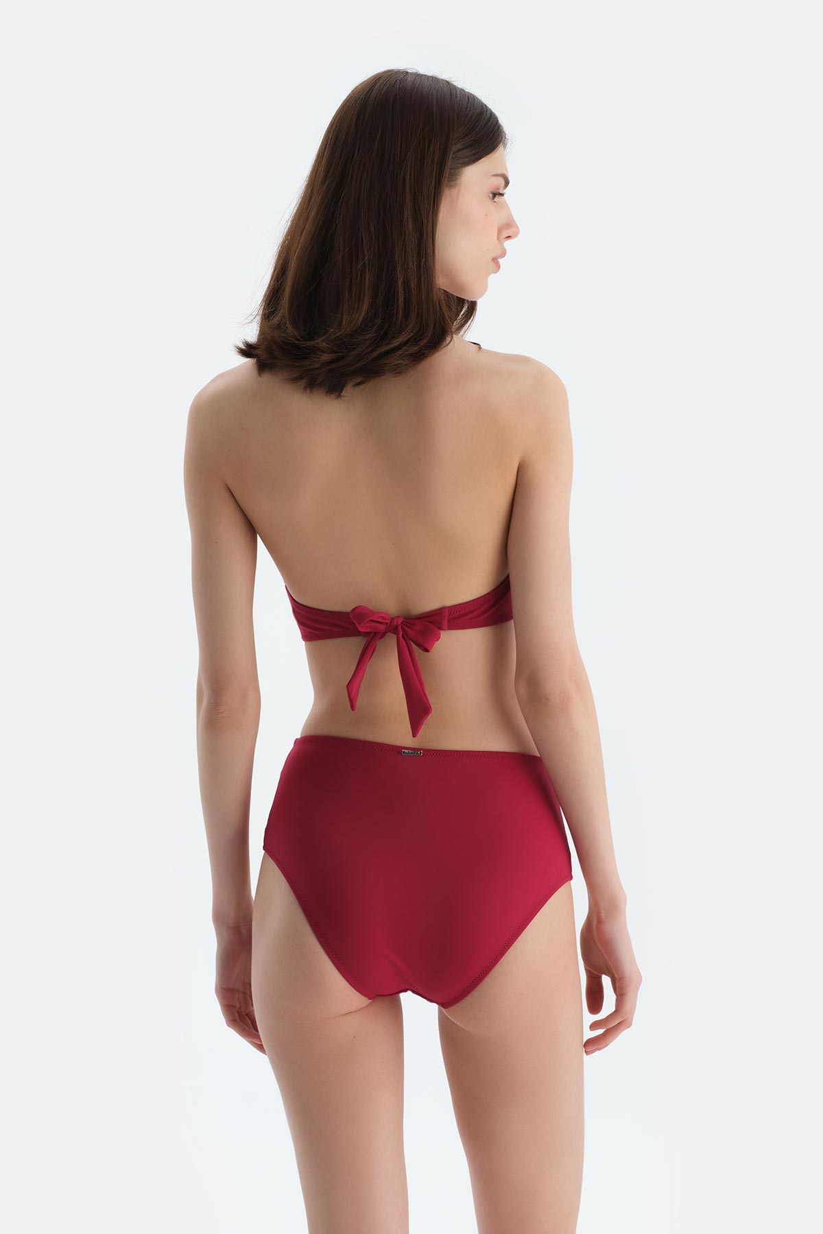 Bordo Tül Detaylı Yüksek Bel Bikini Alt25SW81235ST_310 | DAGI