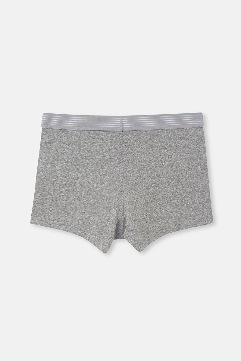 Gri Melanj Basic Boxer 22SM28091UK_GRM | DAGI