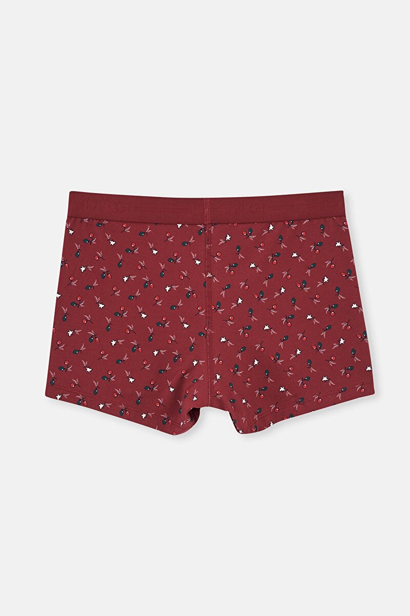 Bordo-Siyah 3'Lü Desenli Pamuk Boxer 24AW28324MA_615 | DAGI